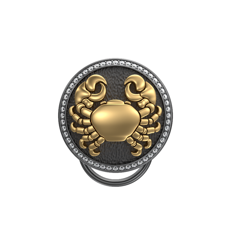 Cancer Zodiac Luxe, Constellation Button set with CZ Diamonds, 18kt Gold & Black Ruthenium plating on Brass.