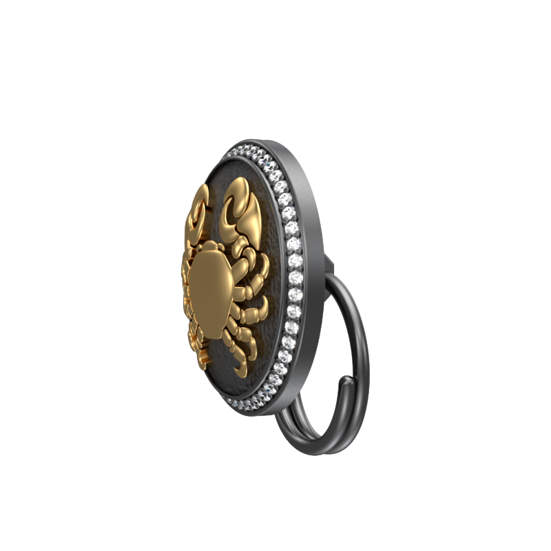 Cancer Zodiac Luxe, Constellation Button set with CZ Diamonds, 18kt Gold & Black Ruthenium plating on Brass.