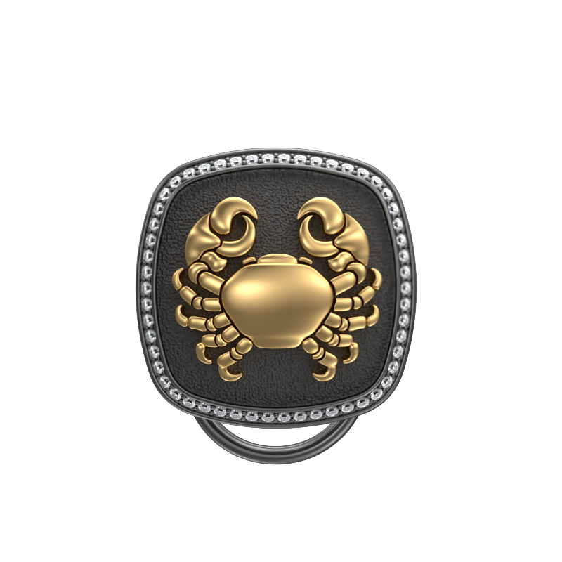Cancer Zodiac Luxe, Constellation Button set with CZ Diamonds, 18kt Gold & Black Ruthenium plating on Brass.