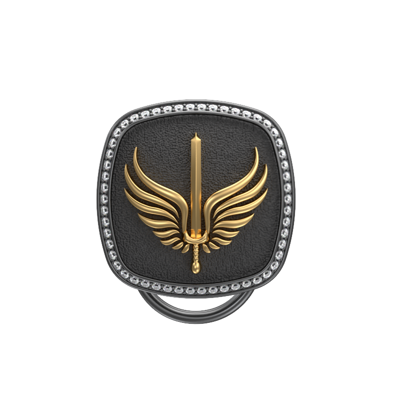 Viking Sword Luxe, Edgy Button set with CZ Diamonds, 18kt Gold & Black Ruthenium Plating on Brass.