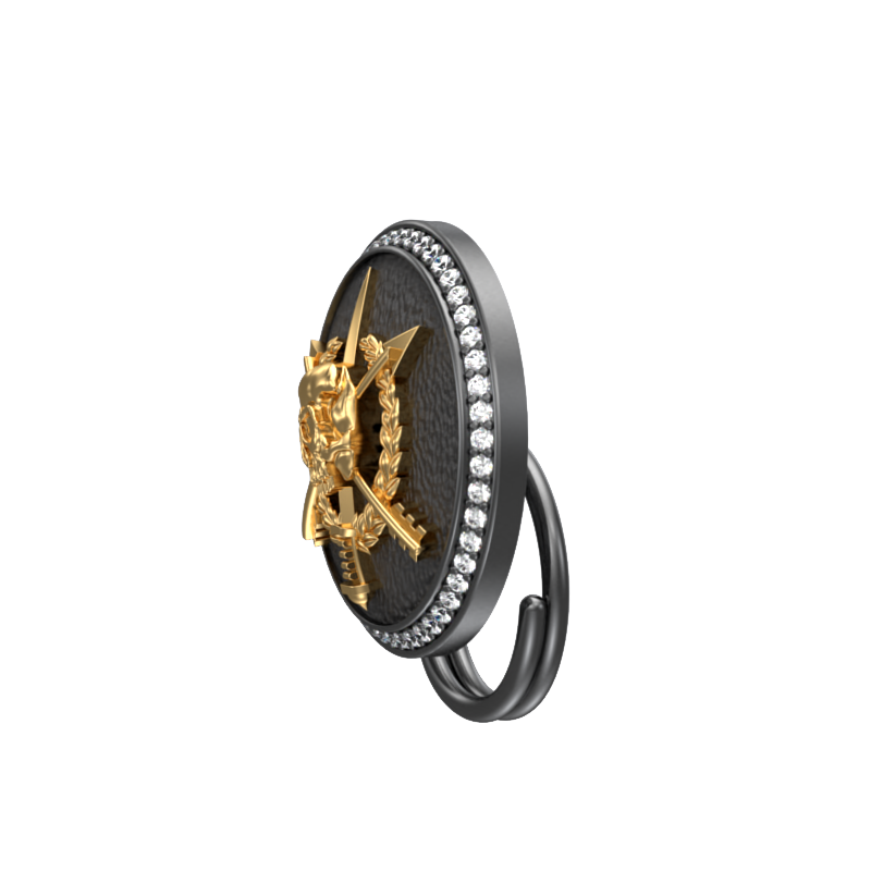 Pirate Luxe, Edgy Button set with CZ Diamonds, 18kt Gold & Black Ruthenium Plating on Brass.