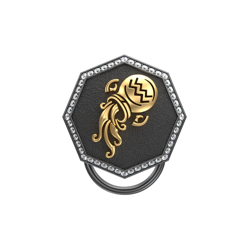 Aquarius Zodiac Luxe, Constellation Button set with CZ Diamonds, 18kt Gold & Black Ruthenium plating on Brass.