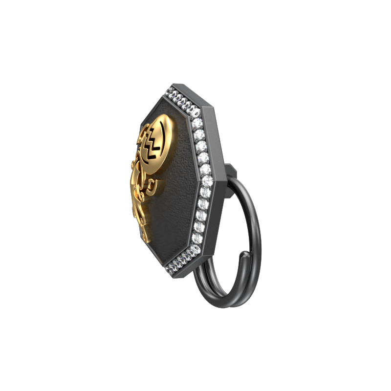 Aquarius Zodiac Luxe, Constellation Button set with CZ Diamonds, 18kt Gold & Black Ruthenium plating on Brass.