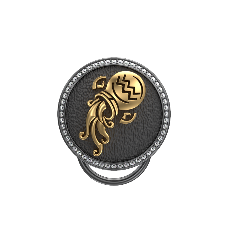 Aquarius Zodiac Luxe, Constellation Button set with CZ Diamonds, 18kt Gold & Black Ruthenium plating on Brass.