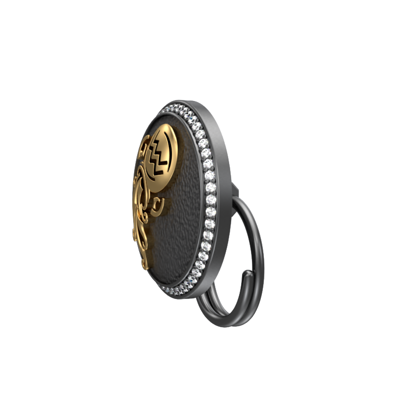 Aquarius Zodiac Luxe, Constellation Button set with CZ Diamonds, 18kt Gold & Black Ruthenium plating on Brass.