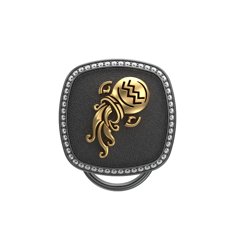 Aquarius Zodiac Luxe, Constellation Button set with CZ Diamonds, 18kt Gold & Black Ruthenium plating on Brass.