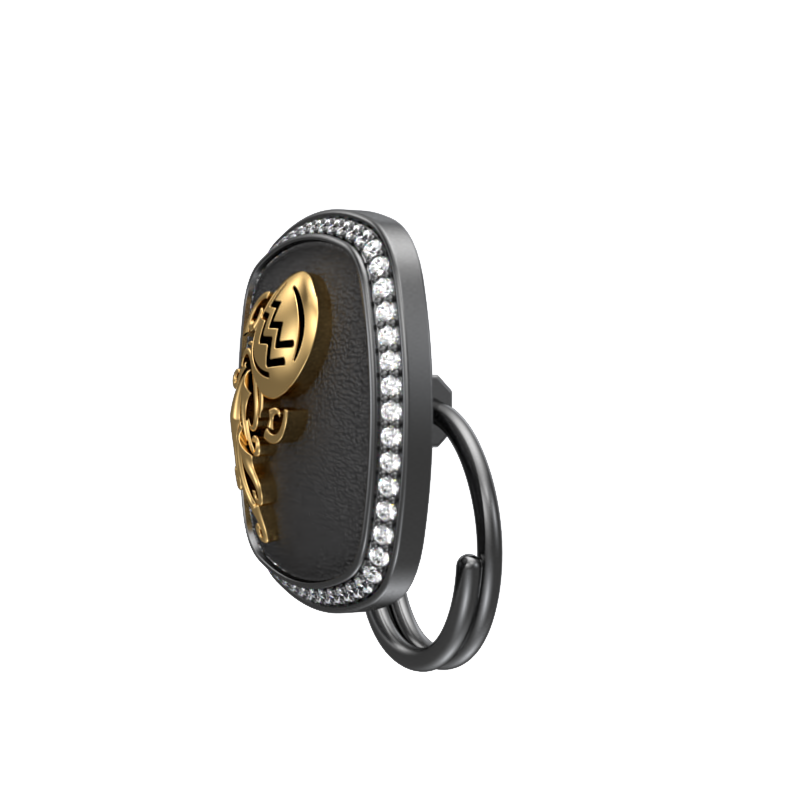 Aquarius Zodiac Luxe, Constellation Button set with CZ Diamonds, 18kt Gold & Black Ruthenium plating on Brass.