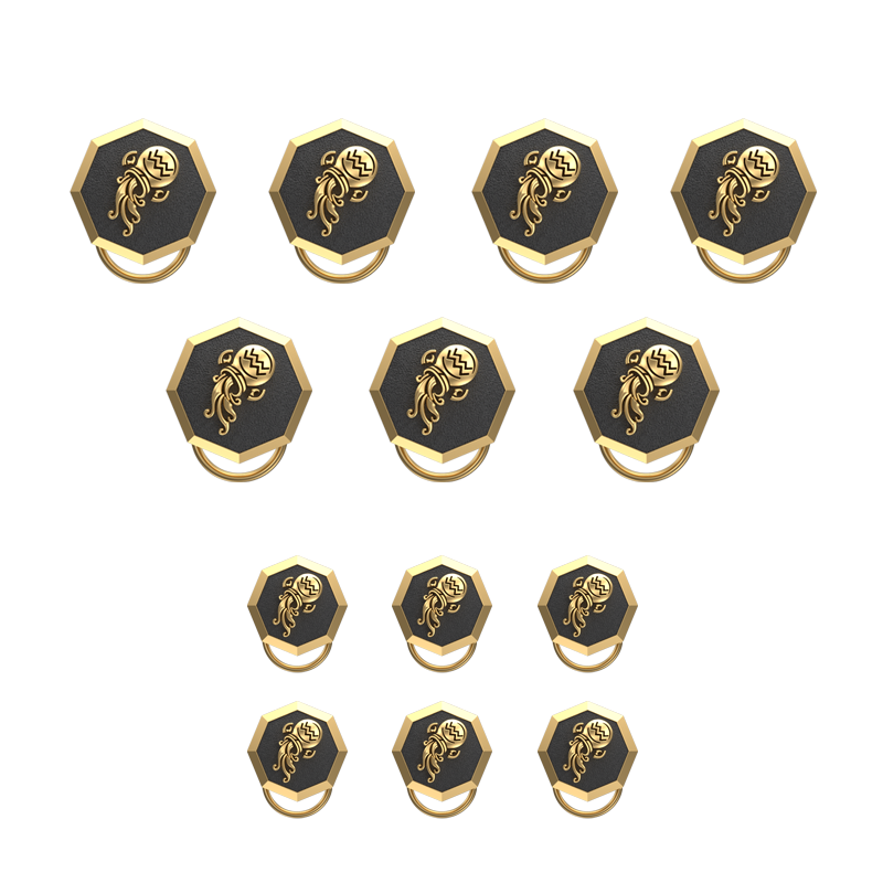 Aquarius Zodiac, Constellation Button set with 18kt Gold & Black Ruthenium Plating on Brass.