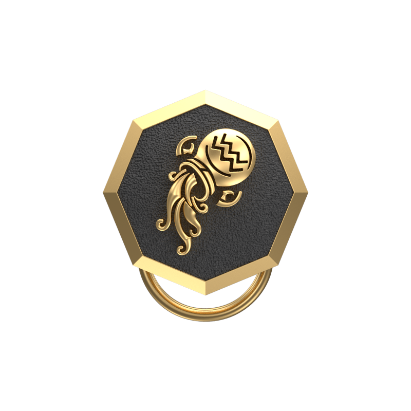Aquarius Zodiac, Constellation Button set with 18kt Gold & Black Ruthenium Plating on Brass.
