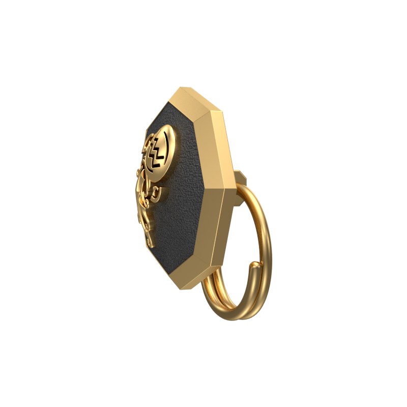 Aquarius Zodiac, Constellation Button set with 18kt Gold & Black Ruthenium Plating on Brass.
