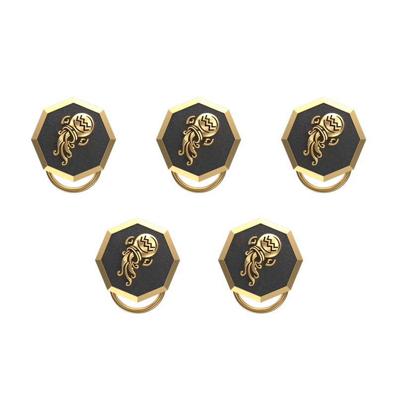 Aquarius Zodiac, Constellation Button set with 18kt Gold & Black Ruthenium Plating on Brass.