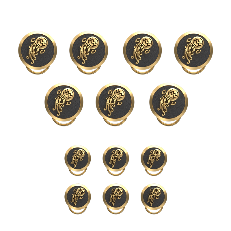 Aquarius Zodiac, Constellation Button set with 18kt Gold & Black Ruthenium Plating on Brass.