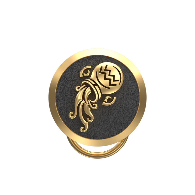 Aquarius Zodiac, Constellation Button set with 18kt Gold & Black Ruthenium Plating on Brass.