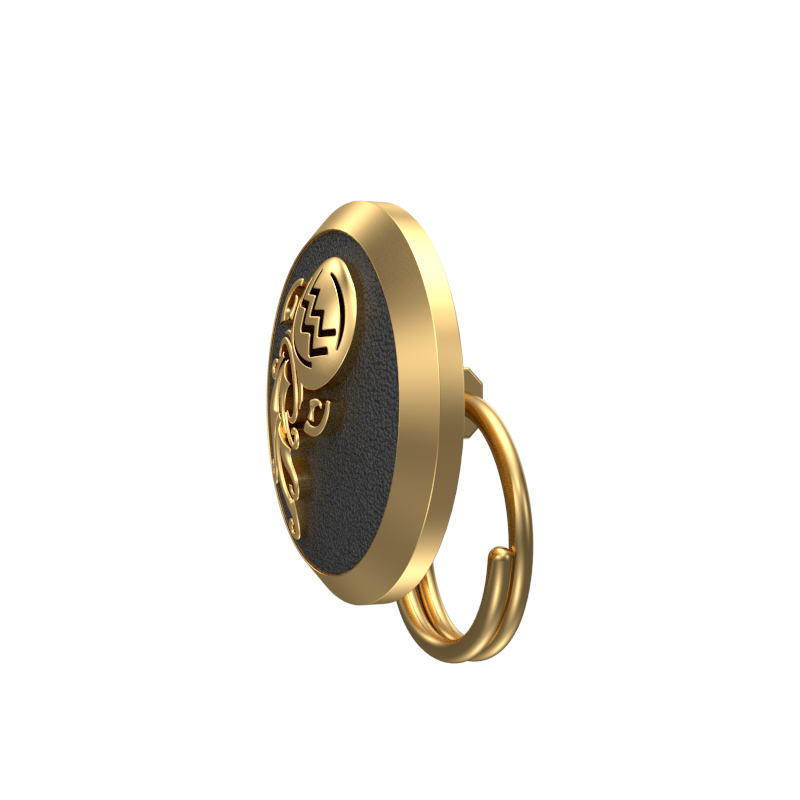 Aquarius Zodiac, Constellation Button set with 18kt Gold & Black Ruthenium Plating on Brass.