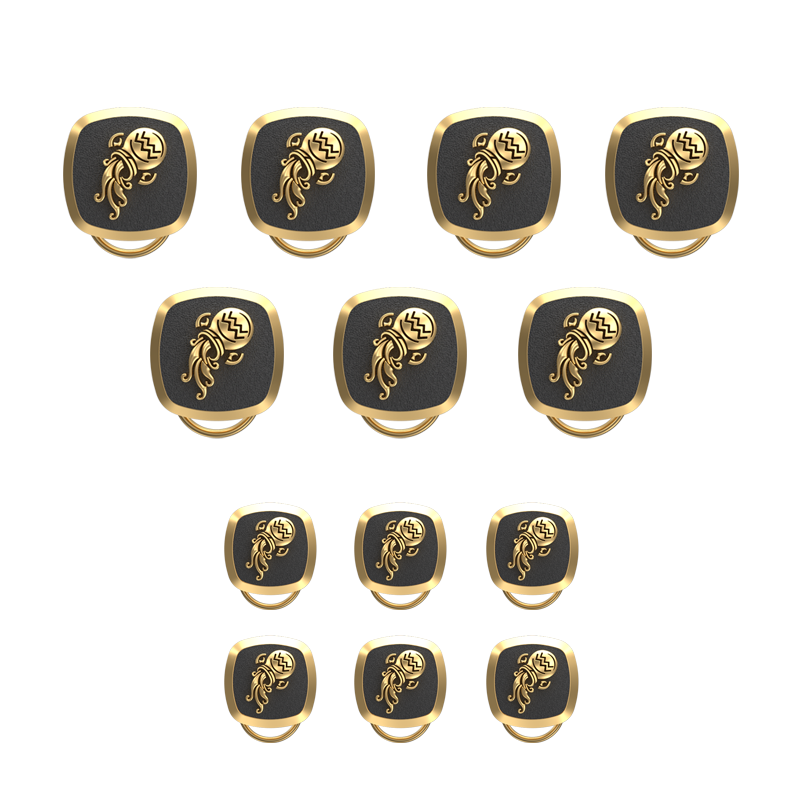 Aquarius Zodiac, Constellation Button set with 18kt Gold & Black Ruthenium Plating on Brass.