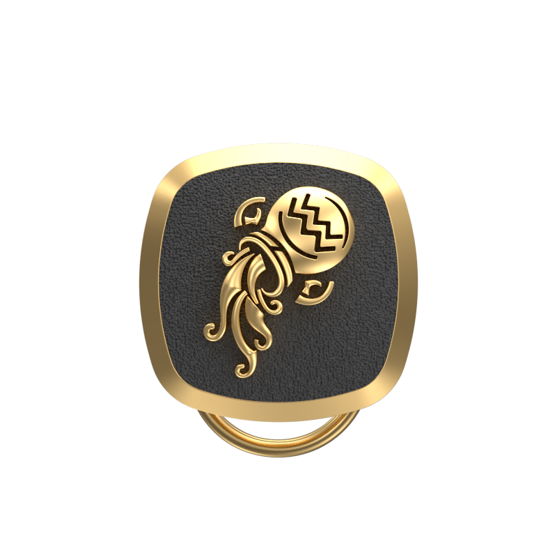 Aquarius Zodiac, Constellation Button set with 18kt Gold & Black Ruthenium Plating on Brass.