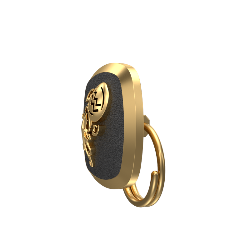 Aquarius Zodiac, Constellation Button set with 18kt Gold & Black Ruthenium Plating on Brass.