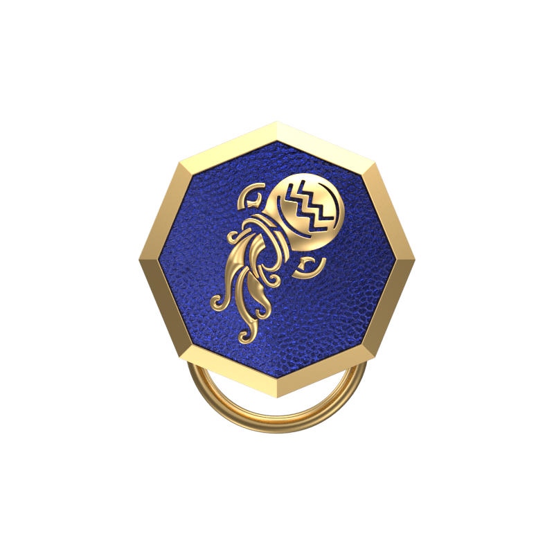 Aquarius Zodiac, Constellation Button set with 18kt Gold & Black Ruthenium Plating on Brass.