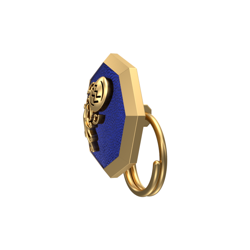 Aquarius Zodiac, Constellation Button set with 18kt Gold & Black Ruthenium Plating on Brass.