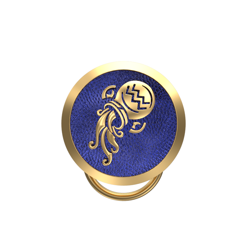Aquarius Zodiac, Constellation Button set with 18kt Gold & Black Ruthenium Plating on Brass.