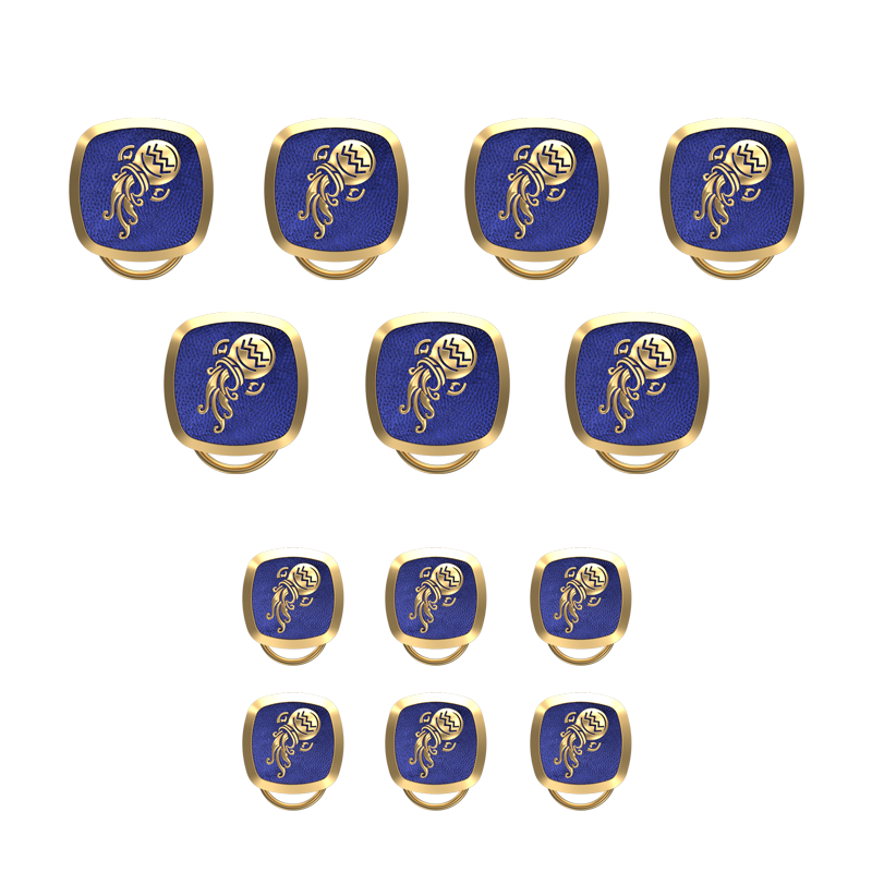 Aquarius Zodiac, Constellation Button set with 18kt Gold & Black Ruthenium Plating on Brass.