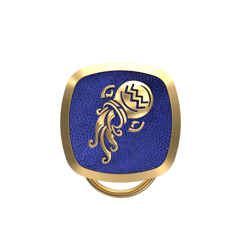 Aquarius Zodiac, Constellation Button set with 18kt Gold & Black Ruthenium Plating on Brass.