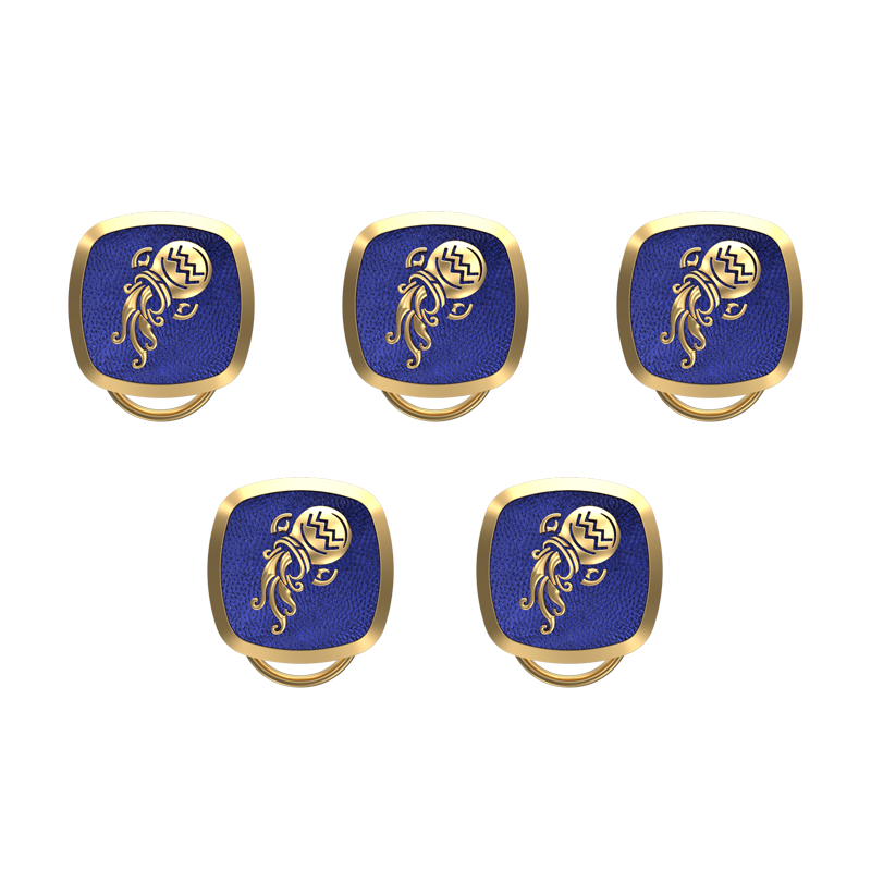 Aquarius Zodiac, Constellation Button set with 18kt Gold & Black Ruthenium Plating on Brass.