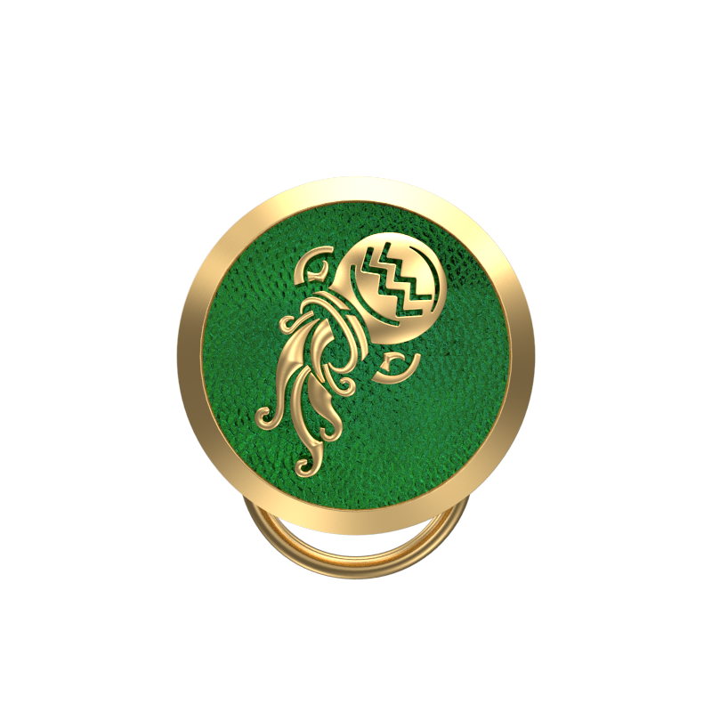 Aquarius Zodiac, Constellation Button set with 18kt Gold & Black Ruthenium Plating on Brass.