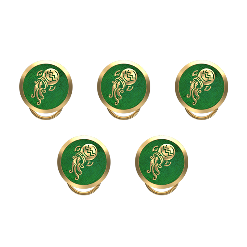 Aquarius Zodiac, Constellation Button set with 18kt Gold & Black Ruthenium Plating on Brass.