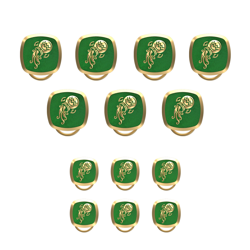 Aquarius Zodiac, Constellation Button set with 18kt Gold & Black Ruthenium Plating on Brass.