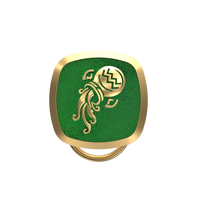 Aquarius Zodiac, Constellation Button set with 18kt Gold & Black Ruthenium Plating on Brass.