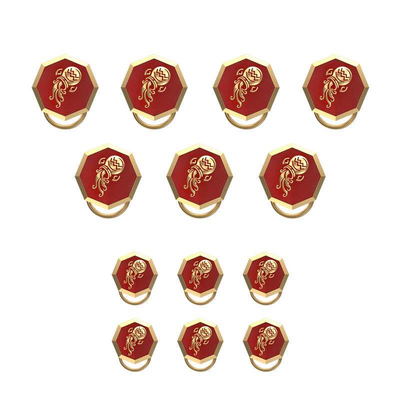 Aquarius Zodiac, Constellation Button set with 18kt Gold & Black Ruthenium Plating on Brass.