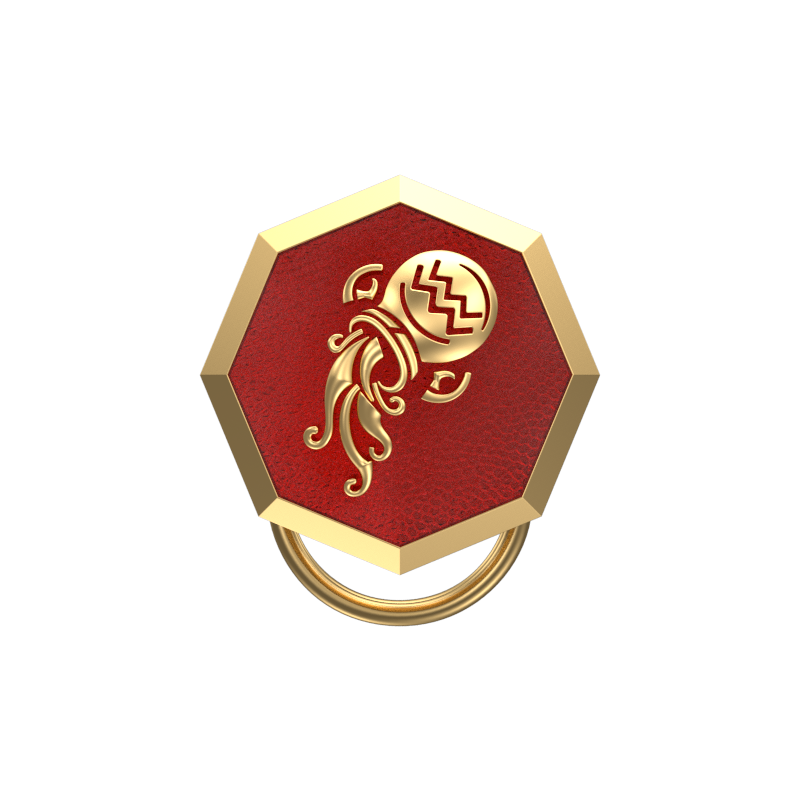Aquarius Zodiac, Constellation Button set with 18kt Gold & Black Ruthenium Plating on Brass.