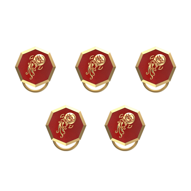 Aquarius Zodiac, Constellation Button set with 18kt Gold & Black Ruthenium Plating on Brass.