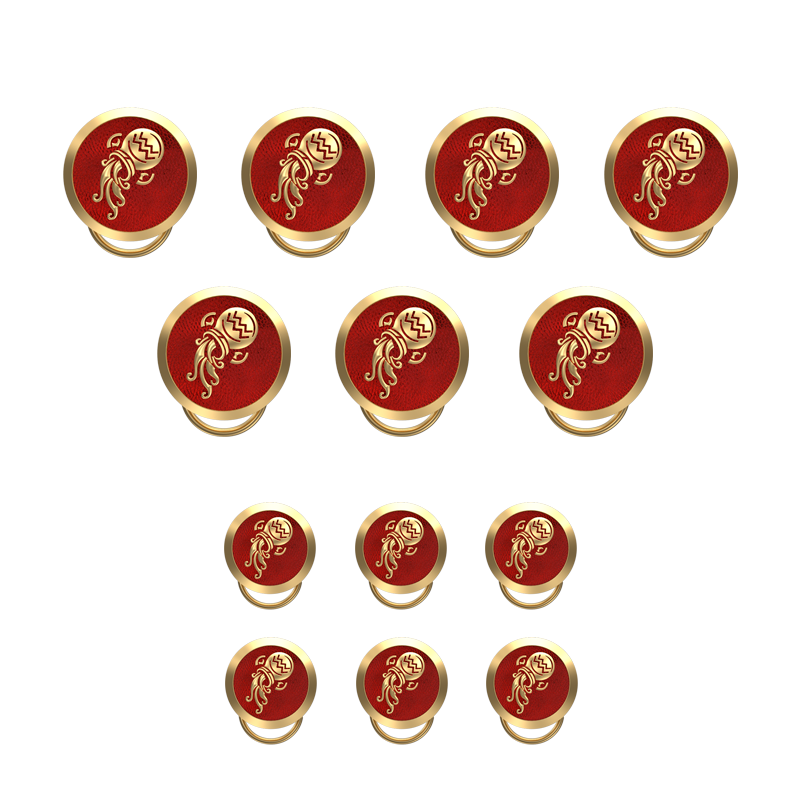 Aquarius Zodiac, Constellation Button set with 18kt Gold & Black Ruthenium Plating on Brass.