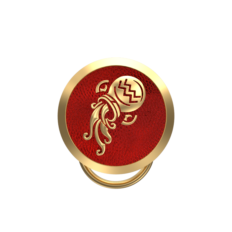 Aquarius Zodiac, Constellation Button set with 18kt Gold & Black Ruthenium Plating on Brass.