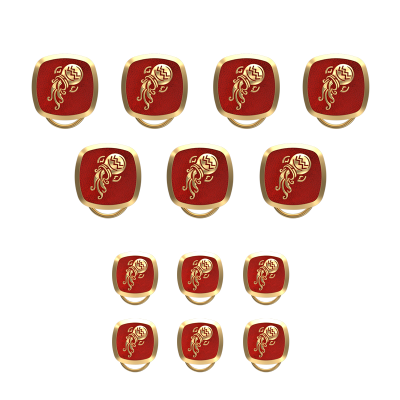 Aquarius Zodiac, Constellation Button set with 18kt Gold & Black Ruthenium Plating on Brass.