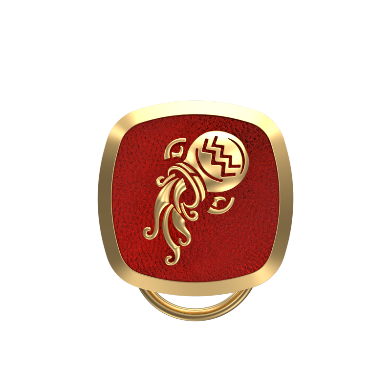 Aquarius Zodiac, Constellation Button set with 18kt Gold & Black Ruthenium Plating on Brass.