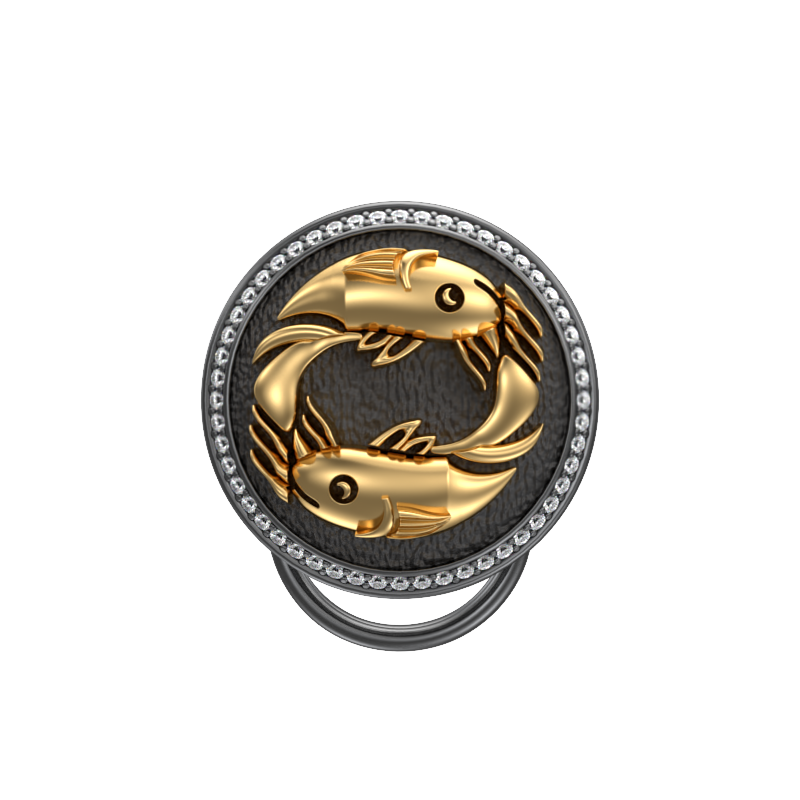 Pisces Zodiac Luxe, Constellation Button set with CZ Diamonds, 18kt Gold & Black Ruthenium plating on Brass.
