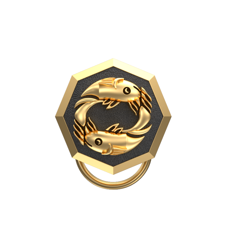 Pisces Zodiac, Constellation Button set with 18kt Gold & Black Ruthenium Plating on Brass.