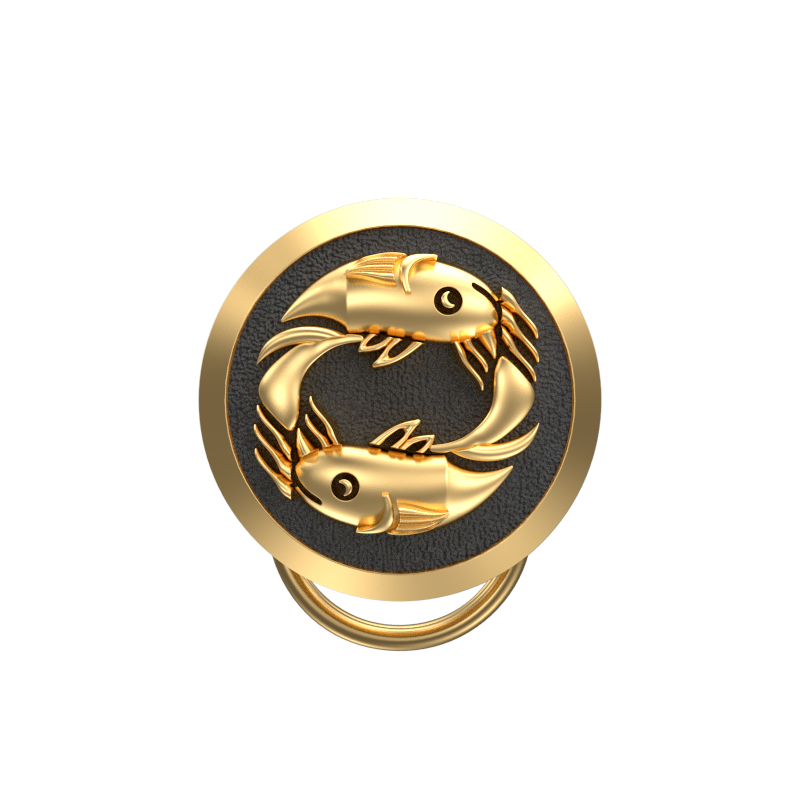 Pisces Zodiac, Constellation Button set with 18kt Gold & Black Ruthenium Plating on Brass.
