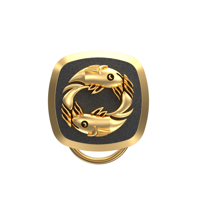 Pisces Zodiac, Constellation Button set with 18kt Gold & Black Ruthenium Plating on Brass.