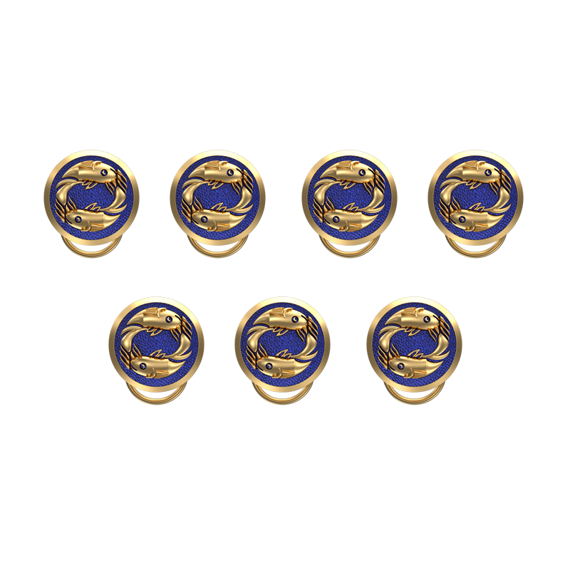 Pisces Zodiac, Constellation Button set with 18kt Gold & Black Ruthenium Plating on Brass.