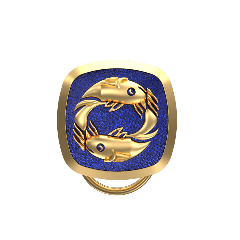 Pisces Zodiac, Constellation Button set with 18kt Gold & Black Ruthenium Plating on Brass.