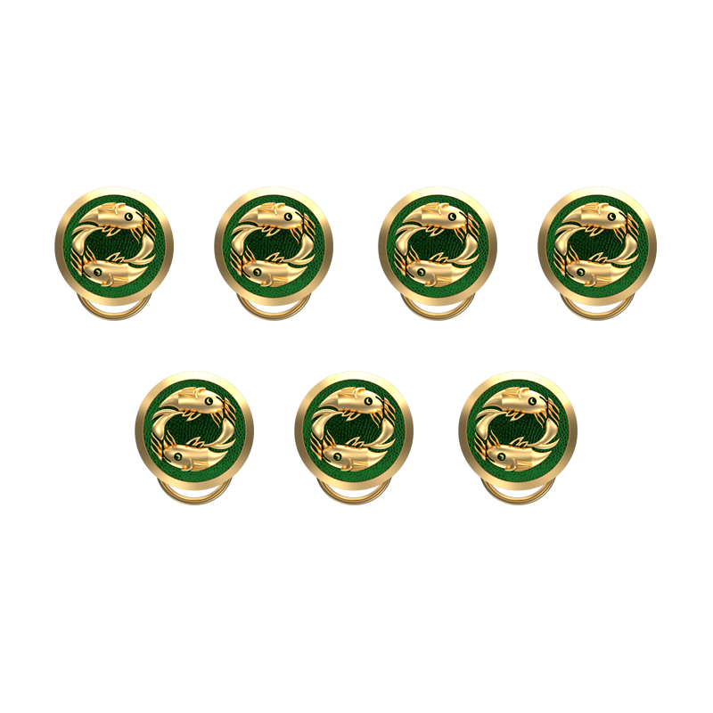 Pisces Zodiac, Constellation Button set with 18kt Gold & Black Ruthenium Plating on Brass.