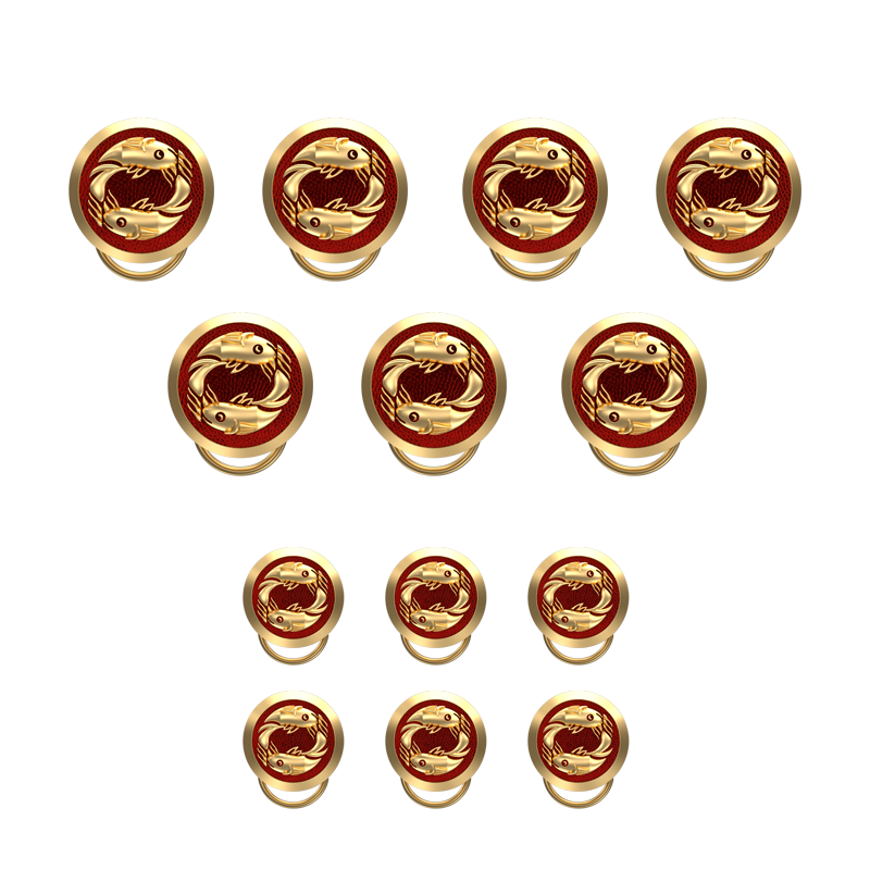 Pisces Zodiac, Constellation Button set with 18kt Gold & Black Ruthenium Plating on Brass.