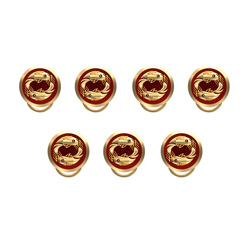 Pisces Zodiac, Constellation Button set with 18kt Gold & Black Ruthenium Plating on Brass.