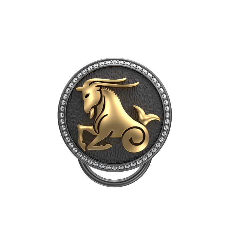 Capricorn Zodiac Button set with CZ Diamonds, 18kt Gold & Black Ruthenium plating on Brass.