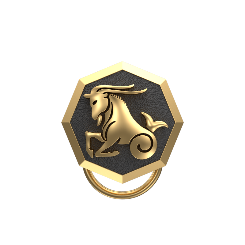 Capricorn Zodiac, Constellation Button set with 18kt Gold Plating & Enamel on Brass.