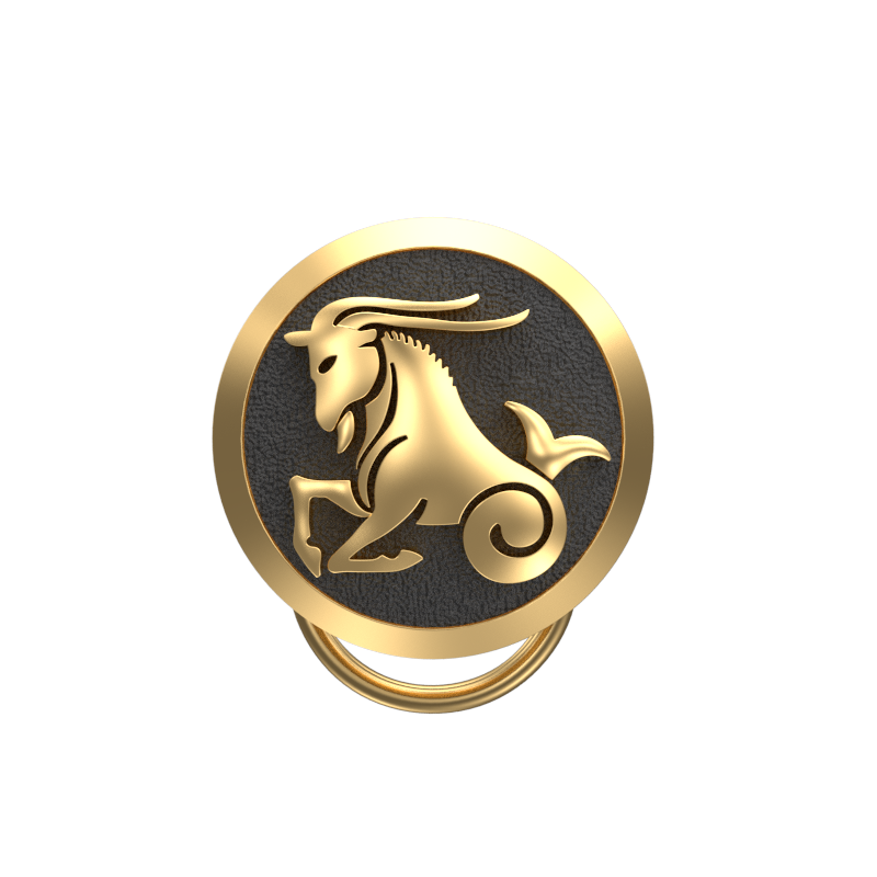 Capricorn Zodiac, Constellation Button set with 18kt Gold Plating & Enamel on Brass.